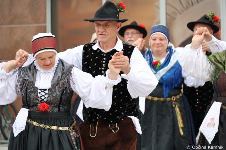 Čebela velikanka potuje po Kamniku (63)